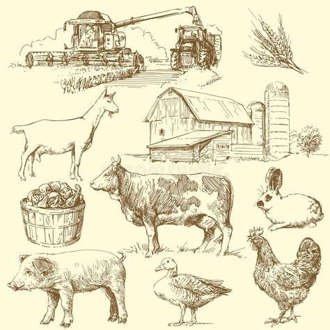 Farm Vector, Photo Sea, Map Sketch, Branding Images, Food Collection, Hand Drawn Vector Illustrations, Vintage Farm, Cartoon Background, Sea Food