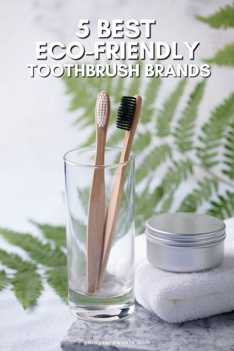 Eco-friendly toothbrushes are made out of sustainable materials like bamboo or recycled plastics. They’re also often packaged in recyclable or compostable materials. This means that when you’re done with it, you can just toss it in the compost pile and it will break down naturally. Natural Toothpaste Recipe, Best Natural Toothpaste, Toothpaste Recipe, Eco Friendly Cleaning Products, Plastic Food Containers, Natural Toothpaste, Zero Waste Kitchen, Bamboo Toothbrush, All Natural Skin Care