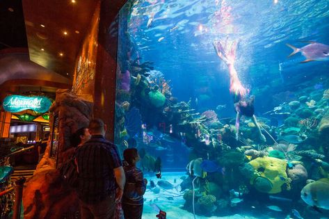 Best Las Vegas Dive Bars, Tiki Bars, Cocktail Lounges & More - Thrillist Mermaid Bar, Vegas Clubs, Romper Room, Dive Bars, Tiki Bars, Las Vegas Vacation, Tiki Cocktails, Condo Ideas, Vegas Vacation