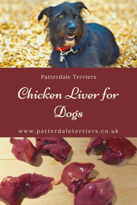 Cooking Chicken Livers For Dogs, Chicken Liver Recipes For Dogs, Chicken Liver For Dogs, Chicken Hearts For Dogs, How To Cook Chicken Livers For Dogs, Chicken Livers For Dogs, Liver Treats For Dogs, Liver For Dogs, Cooking Chicken Livers