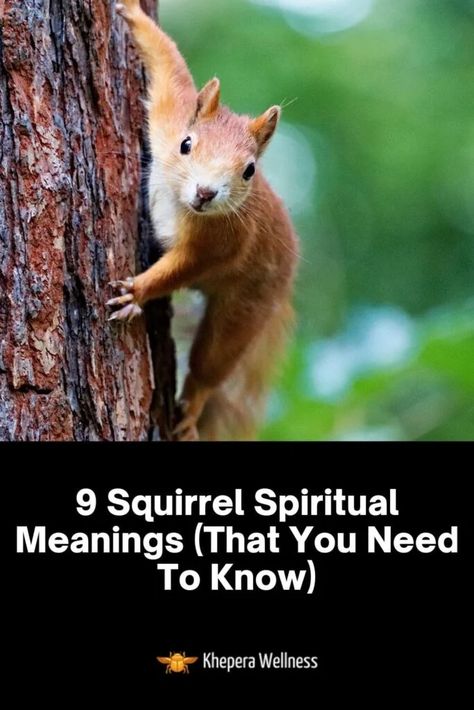 Squirrel Spiritual Meaning, Bunny Meaning, Spiritual Animals, Dead Squirrel, Witch Meaning, Animals In Nature, Bible Meaning, Spirit Animal Meaning, Animal Meanings