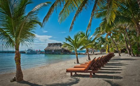 15 Best All-Inclusive Resorts in Belize - The Crazy Tourist Belize Barrier Reef, Belize Beach, Belize Resorts, Belize Vacations, Best All Inclusive Resorts, Belize City, Caribbean Culture, Caribbean Beaches, Inclusive Resorts