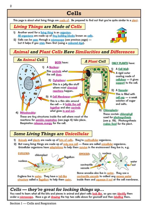 KS3 Science Study Guide - Higher | CGP Books Cell Biology Cheat Sheet, Cell The Basic Unit Of Life Notes, Plant And Animal Cells Notes, Specialised Cells Notes, Class 11 Biology Notes Cell The Unit Of Life, Science Cells, School Testing, Animal Cell, Plant Cell