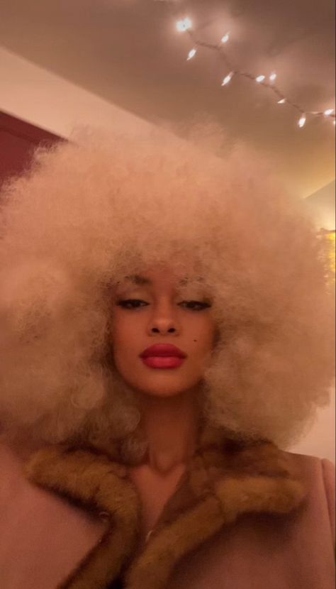 Big Afro Hair, White Afro, Blonde Afro, Big Afro, Afro Girl, Pelo Afro, 4c Hairstyles, Afro Hairstyles, Big Hair