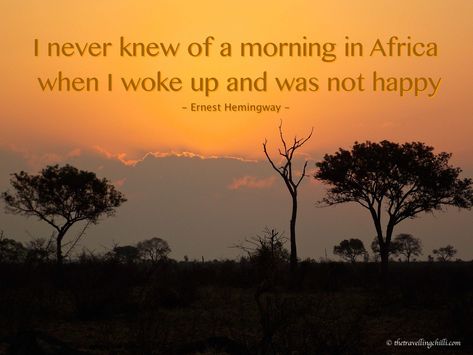 travel travelquote travelquotes quotes 'I never knew of a morning in Africa when I woke up and was not happy' Africa Quotes, Popular Travel Destinations, African Proverb, South Africa Travel, Travel Quotes Inspirational, Beach Quotes, Quotes To Inspire, Ernest Hemingway, African Safari