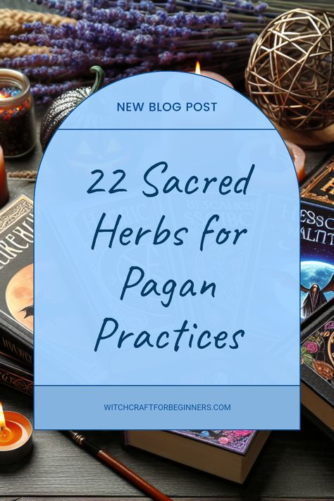 Explore the enchanting world of herbs and plants that hold special significance in Pagan practices. From protective herbs to those used in rituals and crafting potions, discover the diverse ways these natural elements enhance your spiritual journey. Whether you're a beginner in witchcraft or experienced in herbal magic, these 22 sacred herbs and plants offer a wealth of benefits. Learn how to incorporate them into your practices for protection, healing, and connection with nature. Start your journey in botanical magic today! Herbs Used In Witchcraft, Hellenic Paganism, Protective Herbs, Witchcraft Rituals, Sacred Herbs, Pagan Practices, Witchcraft Movie, Witchcraft Shop, Herbs And Plants