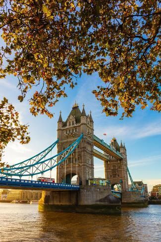 size: 12x8in Photographic Print: Autumn sunrise in grounds of the Tower of London, with Tower Bridge, London by Ed Hasler : London Bridge Photo Ideas, Tower Bridge Aesthetic, 1970s London, London Landscape, Autumn Sunrise, London Dreams, London Boy, The Tower Of London, Bridge Art