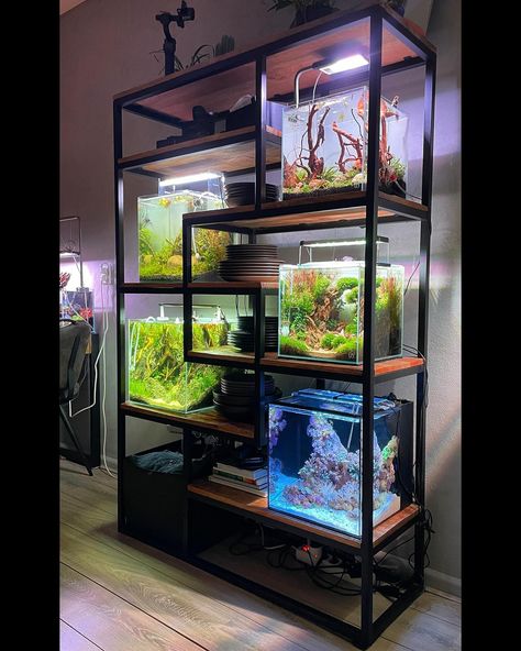 Aquarium Office Interior Design, Fish Tank Bookcase, Built In Fish Tank Ideas, Diy Aquascape Aquarium, Aquarium Shelf Ideas, Terrarium Interior Design, Fish Tank Diy Ideas, Fish Display Ideas, Desk Fish Tank Ideas