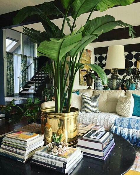 English Colonial Style Interiors, West Indies Living Room, British Colonial Living Room, Tropical British Colonial Style, Modern British Colonial, Tropical British Colonial, British West Indies Style, West Indies Style, British Colonial Decor