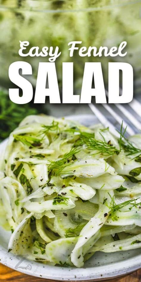 Fennel Bulb Salad, Fennel Salad Dressing, Fennel Slaw Recipes, Fennel Cucumber Salad, Salads Recipes With Fennel, How To Cook Fennel Bulb, Recipes Using Fresh Fennel, Recipe With Fennel, Fresh Fennel Recipes