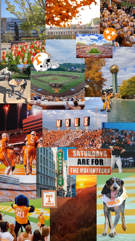 utk university of tennessee knoxville collage wallpaper campus college neyland stadium SEC smokey moodboard america south football baseball University Of Tennessee Aesthetic Wallpaper, Tennessee Backgrounds, Ut Knoxville Aesthetic, Knoxville Tennessee Aesthetic, Tennessee Wallpaper, Univ Of Tennessee, Tn Vols Football, Tennessee University, Football Collage