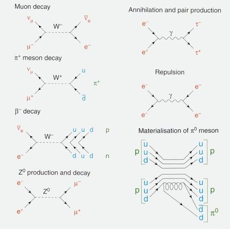 Feynman Technique Study, Magic Diagram, Feynman Technique Student, Newton Physics, Laws Of Thermodynamics Physics, Feynman Diagrams, Feynman Diagram, Quantum Electrodynamics, Quantum Realm