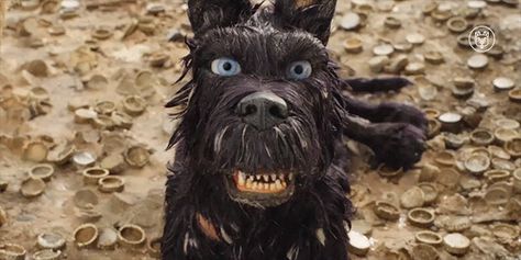 Isle of Dogs (2018) Animation Stop Motion, Animation Movies, Isle Of Dogs, Moonrise Kingdom, Funny Photography, Wacom Intuos, Bad Dog, Comfort Characters