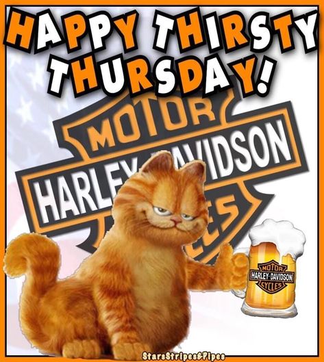 Happy Thirsty Thursday, Harley Davidson Images, Thirsty Thursday, Happy Thursday, Harley Davidson, Novelty Sign