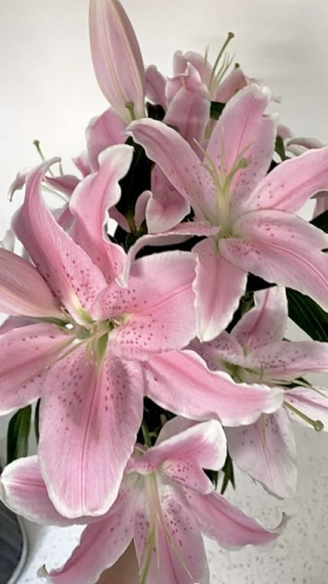 Pink Aesthetic Flowers, Lilies Bouquet, Cute Pink Aesthetic, Flowers Lily, Cosmic Love, Theme Nature, Boquette Flowers, Book Flowers, Aesthetic Flowers