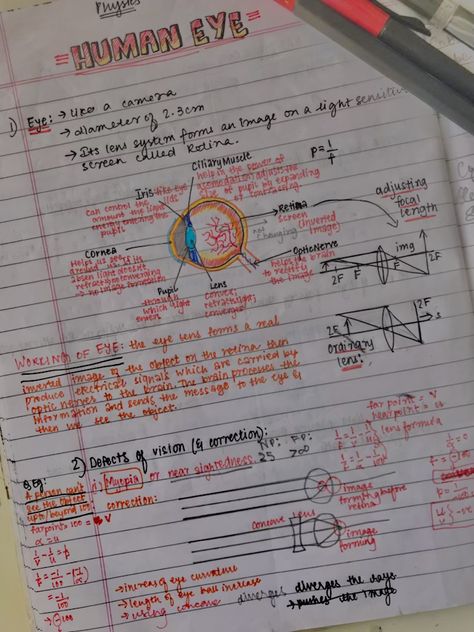 Human Eye And Colourful World Class 10, Structure Of Eye Notes, Physics Notes Class 10 Human Eye, Human Eye And Colourful World Notes Class 10, Human Eye Class 10 Notes, Human Eye Diagram Class 10, Class Topper Aesthetic, Human Eye Notes, Humanities Student Aesthetic