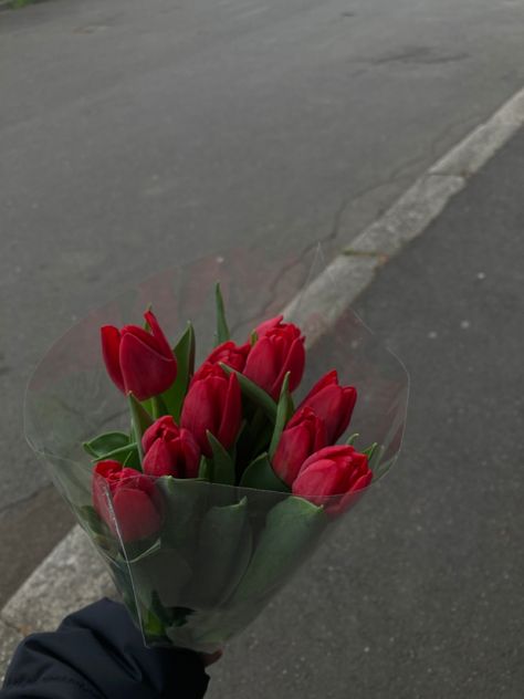 Red Tulips Aesthetic, Tulips Aesthetic, Dark Vibes, Virtual Flowers, Fancy Flowers, Boquette Flowers, Tulip Bouquet, Aesthetic Red, Nothing But Flowers