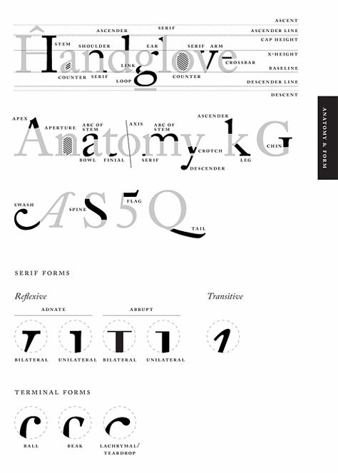 Anatomy of font. I'm such a geek.. Letter Anatomy, Anatomy Of Typography, Typography Rules, Type Anatomy, Type Specimen, 타이포그래피 포스터 디자인, Typography Love, Typeface Font, Infographic Design Inspiration