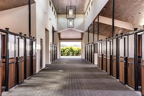 Interior of the horse barn with lots of natural light and lighting Luxury Horse Stables, Luxury Horse Barns, Dream Barn Stables, Equestrian Stables, Equestrian Barns, Stable Style, Horse Barn Ideas Stables, Barn Stalls, Horse Barn Designs