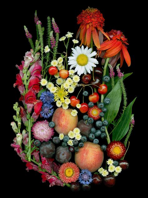 Ellen Hoverkamp, Scanner Photography, Vegetable Photography, Vegetables Photography, Fruits And Flowers, Random Aesthetic, Farm Market, Statement Art, Organic Vegetables