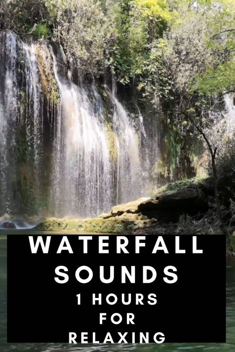 Waterfall Sounds for Sleeping, Waterfall Sounds 1 Hour for Relaxing, Meditation, Study #SleepAids #SleepTech #Sleep #Snoring Rain And Thunder Sounds, Frequency Healing, Relaxing Rain, Waterfall Sounds, Healing Tones, Relaxing Rain Sounds, Healing Sounds, Sleeping Music, Music Study