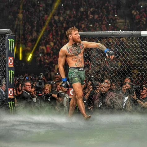 Coner Megrager, Connor Mcgregor Wallpaper, Conor Mcgregor Aesthetic, Corner Mcgregor, Conor Mcgregor Nate Diaz, Conor Macgregor, Ufc Wallpaper, Conor Mcgregor Wallpaper, Martial Arts Tattoos