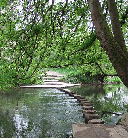 Backyard Fishing Pond, Surrey House, Fishing Pond, Box Hill, Natural Swimming Ponds, Surrey England, Cottage Lake, Natural Playground, Stone Path