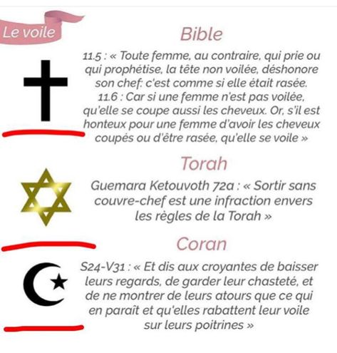 Le voile Voile Islam, Christian Veil, Christian Veiling, Christian Veils, Reading Al Quran, Allah Loves You, Bible Images, Allah Love, Islamic Teachings