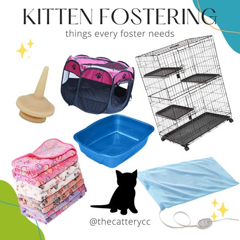 Here are some items that every kitten foster parent needs! Kitten Set Up In Bedroom, Foster Kitten Room Ideas, Kitten Set Up, Foster Kittens Setup, Kitten Fostering, Kitten Set Up Ideas, Fostering Animals, Cat Foster, Fostering Kittens