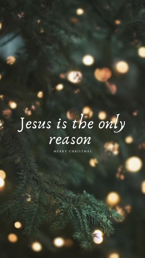 Natal Christ Christmas Quotes, Jesus Is The Reason For The Season Wallpaper, Jesus Is The Reason For The Season, Christmas Jesus Quotes, Christian Christmas Wallpaper, Christian Christmas Quotes, Bible Quotes Background, Christmas Lights Background, Christmas Quotes Inspirational