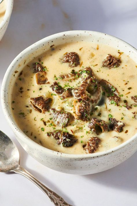 Morel Mushroom Soup Mushroom Bisque, Chicken Soup Base, Moscato Wine, Mushroom Spores, Morel Mushrooms, Creamy Mushroom Soup, Bisque Recipe, Mushroom Soup Recipes, Pureed Soup