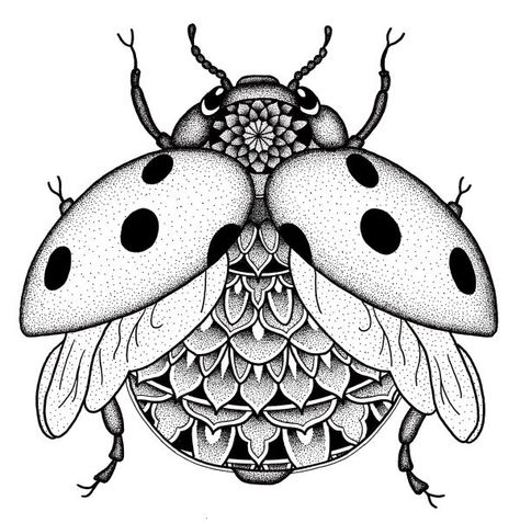 A cute fat little ladybug with a mandala on its back and head. Drawn in pen and ink dotwork. #ladybug #insect #mandala #pen #ink #dotwork #pointilism #drawing #art #rene #voortwist #geometric #geometry Ladybug Tattoo Drawing, Cute Insect Drawings, Ladybug Design, Geometric Ladybug Tattoo, Ladybug Doodle, Dotwork Art, Ladybug Tattoo Black And White, Insects Drawing, Ladybug Tattoo Ideas