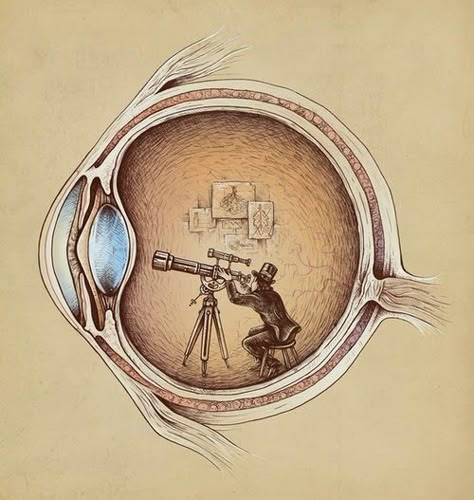 Hospital Painting, Vintage Medical Art, Medical Artwork, Medicine Art, Medical Drawings, Sunglasses For Your Face Shape, Eye Anatomy, Human Biology, Anatomical Art