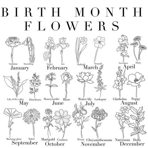 Daffodil And Honeysuckle Tattoo, Birth Bird By Month, Honeysuckle Drawing Simple, Flower Line Tattoo Simple, Hawthorne Drawing, Hawthorne Flower Tattoo Simple, Honeysuckle Meaning, Honeysuckle Tattoo Simple, Hawthorne Flower Tattoo