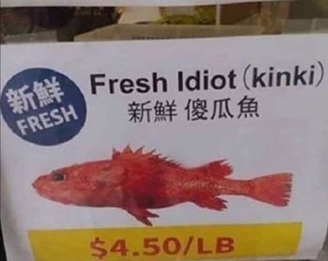 Translation Fail, Lost In Translation, Silly Images, Funny Signs, A Sign, Images Gif, Funny Laugh, Gotham, Mood Pics