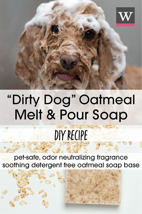 Dog Soap Bar Recipe Melt And Pour, Dog Soap Bar Recipe, Dog Soap Recipe, Dog Oatmeal, Diy Dog Shampoo, Dog Balm, Dog Shampoo Bar, Diy Oatmeal, Shampoo Bar Recipe