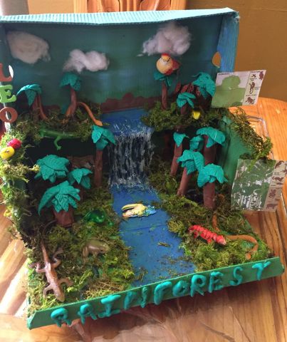 [gallery ids=”125,126,127,128″ type=”rectangular”] My Son was assigned his first ever school project of creating a miniature rainforest in a shoe box! This was a &#82… Ecosystems Diorama, Shoe Box Diorama, Rainforest Crafts, Biomes Project, Rainforest Project, Rainforest Activities, Diorama Kids, Ecosystems Projects, Native American Projects