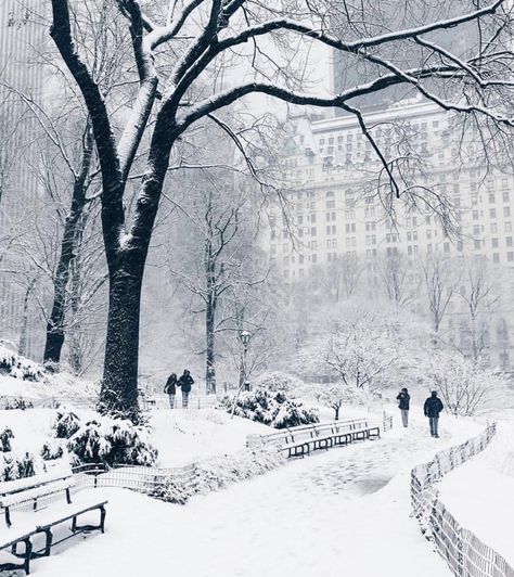 Chuck Bass on Twitter: "How my cousins in DR think snow in NYC is vs. Reality… " Christmas In New York Aesthetic, New York Noel, Winter In The City, Nature Quotes Adventure, Travel Quotes Wanderlust Adventure, Nyc Winter, New York City Photos, Winter City, Travel Quotes Adventure