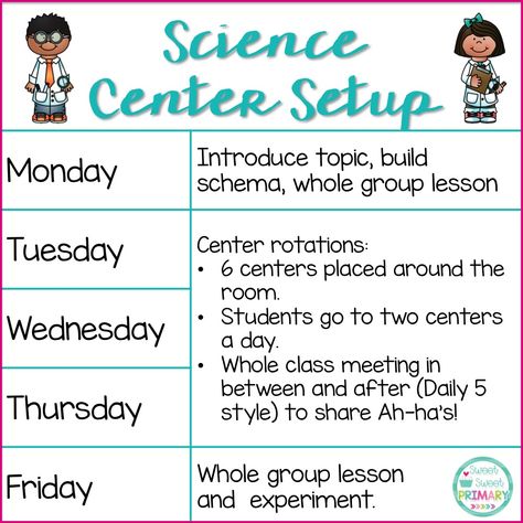 Stations For Kindergarten, Middle School Science Activities, Sixth Grade Science, Middle School Science Classroom, Science Stations, Science Stem, Biology Classroom, 7th Grade Science, Third Grade Science