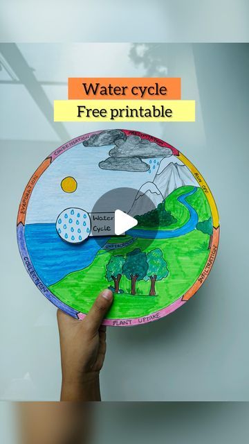 Water Cycle Foldable, Water Cycle Craft, Water Cycle Model, Water Cycle Poster, Water Cycle Project, Save The Water, Types Of Precipitation, Water Cycle Activities, Water Evaporation