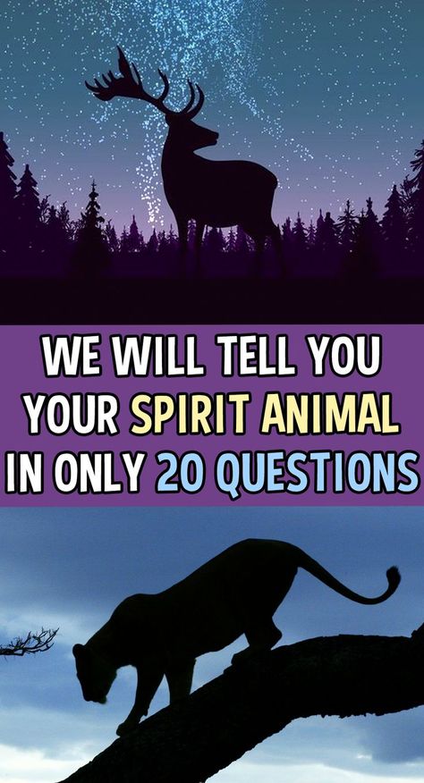 Spirit Animal Test, Spirit Animal Quiz, Find Your Spirit Animal, Animal Quiz, Spiritual Animal, Animal Spirit Guides, Spirit Animal Art, Wolf Spirit Animal, Your Spirit Animal