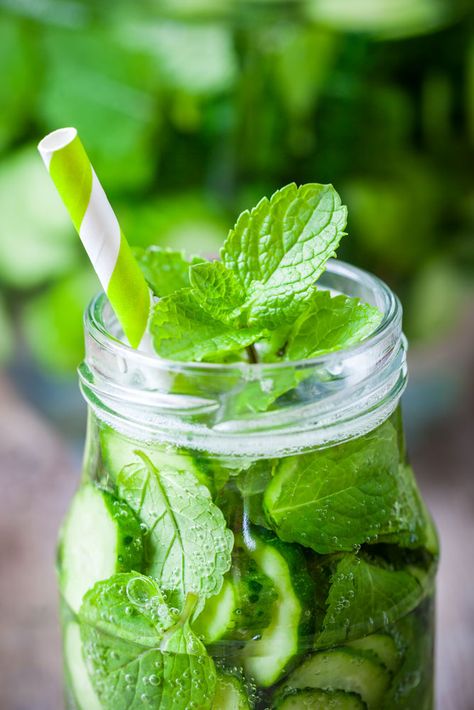 CUCUMBER PEPPERMINT Tea is my favorite Summer drink! This homemade cup of green tea includes cucumbers, peppermint, honey and a splash of lemon juice to make a healthy and fresh drink. You can drink it hot or iced. The health benefits of this tea are great so I love drinking it every morning! Peppermint Cocktail, Peppermint Oil Uses, Peppermint Oil Benefits, Peppermint Tea Benefits, Green Tea And Honey, Tea Soap, Refreshing Cocktail, Strawberry Mint, Fresh Drinks