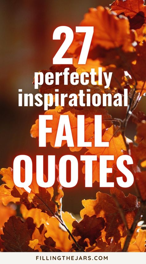 Fall is a time to get excited about all of the new adventures that are coming your way. Use these inspirational quotes to help you have your best autumn ever. From slowing down to embracing change, these perfect autumn quotes will help you make the most of the season. Plus, who doesn't love a good fall-themed quote? Motivational quotes, fall quotes, fall aesthetic, fall vibes. End Of Fall Quotes, Fall Is Proof That Change Is Beautiful, Fall Aesthetic Quotes, Fall Quotes Aesthetic, Quotes About Fall, Autumn Quotes Inspirational, Aesthetic Fall Vibes, September Quotes, October Quotes