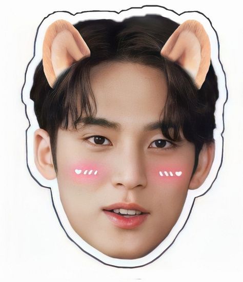 Kpop Bubble Head, Seventeen Bubble Head, Mingyu Sticker Printable, Mingyu Cute Pics, Wonwoo Sticker, Mingyu Sticker, Mingyu Face, Seventeen Stickers, Photocard Ideas