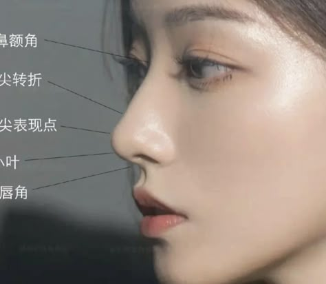 High Bridge Nose Side Profile, High Nose Bridge Side Profile, Low Nose Bridge Side Profile, S Line Nose, Flat Nose Asian, High Bridge Nose, Korean Nose Job, Korean Nose, Dream Nose