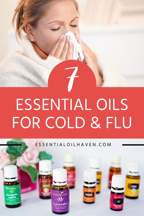 Young Living Oils For Colds, Essential Oil Cold Remedy Diffuse, Oils For Head Cold, Best Essential Oils For Colds, Essential Oils When Sick, Essential Oils For Viral Infections, Essential Oil Blend For Colds, Essential Oils For Viruses, Essential Oils For Head Cold