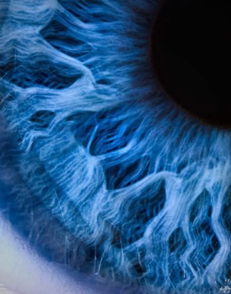 Macro Photography Eyes, Macro Fotografie, Blue Eyes Aesthetic, Close Up Art, Foto Macro, Macro Photography Nature, Iris Art, Eye Close Up, Texture Photography