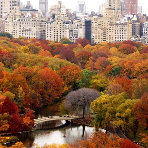 Autumn Witch, Nyc Fall, Autumn In New York, Scenery Photography, Iphone Wallpaper Fall, New York Central, Fall Inspo, Season Of The Witch, Fall Pictures