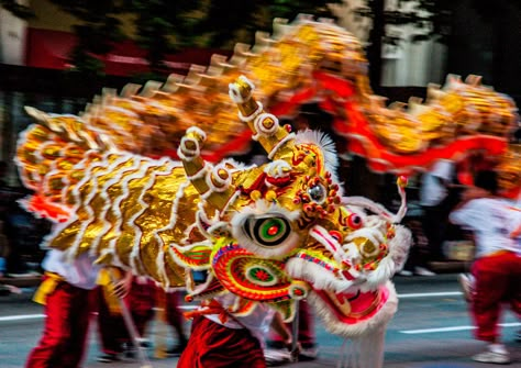 chinese dragon Chinese Parade, Lion Dragon, Chinese Lion Dance, Dragon Chino, Chinese New Year Dragon, Dragon Dance, Dragon Costume, Dragon Puppet, Lion Dance