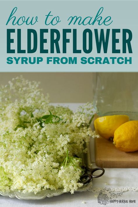 Summer Foraging, Elderflower Syrup Recipe, Elderflower Recipes, Elderflower Syrup, Herbal Drink, Elderberry Recipes, Edible Flowers Recipes, Foraging Recipes, Liqueurs Recipes